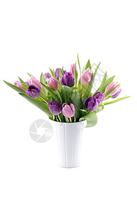 一束紫色和粉红色的郁金香花白色粉色花束花瓶背景图片