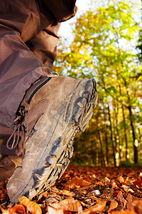 徒行旅行森林自然叶子晴天靴子木头踪迹鞋类阳光林地背景图片