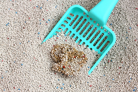 塑料容易猫沙子垃圾处理器绿色猫砂卫生灰色蓝色塑料吸收器香味砂勺粉色背景