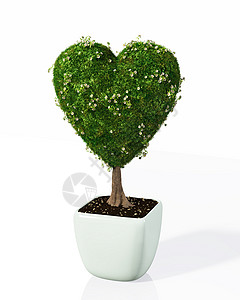 绿色心形光效一种像心形的植物背景
