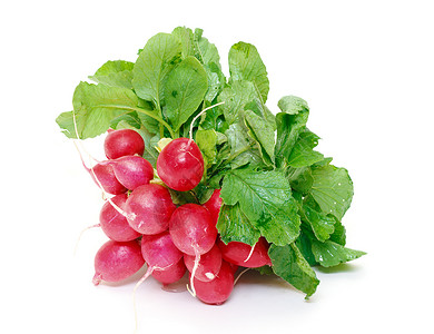 带根的萝卜小菜园 带叶子的萝卜白色绿色团体食物红色蔬菜紫色背景