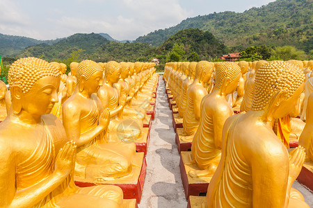 佛祖纪念公园的金芽宗教旅行雕塑雕像文化大法会冥想上帝精神天空背景图片