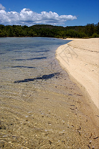 高鼻子马莫科山环礁湖和海岸线天空海藻海洋泡沫真子低潮种植园木头石头海滩背景