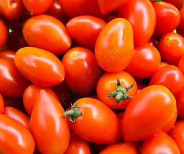 新鲜的萝莎番茄背景高清图片