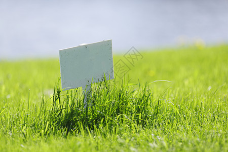 水店招牌素材草地上的白牌空白木板场地黄色生长蓝色绿色桌子白色环境背景