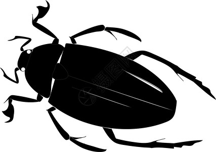 甲虫草图航班背景图片
