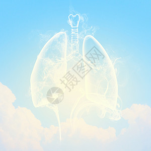 肺部呼吸人类肺部示意图图示气管科学男人蓝色身体卡通片学习男性生物学呼吸背景
