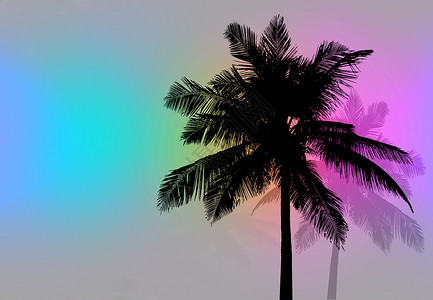 海滩剪贴画棕榈树三重奏热带海滩情调里科异国椰子插图树木绘画背景