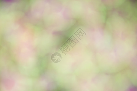 淡化绿色和紫色光的焦点背景黄色背景图片