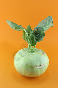 多生植物菜 可拉比厨房收成食物维生素植物地面营养市场美食烹饪背景