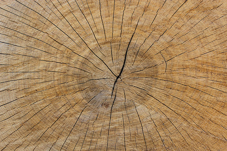 电锯元素木暗深背景木匠长椅生活装饰品木工木板戒指棕色材料裂缝背景