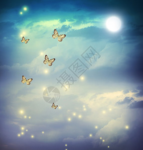在梦幻月光的美景中的蝴蝶背景图片
