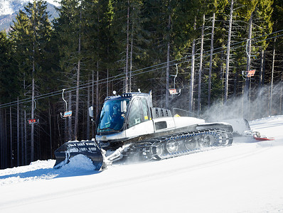 滑雪的猫雪地美容背景