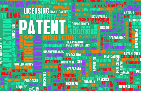 专利发明斗争流程诉讼备案国际公司程序术语保护背景