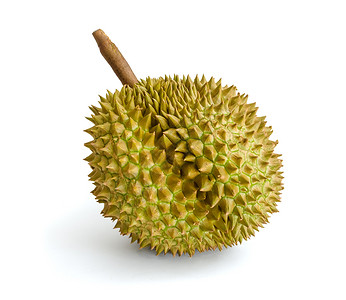 Durian 东南亚水果之王 在背景之下热带异国味道橙子情调食物尖刺阴影饮食榴莲背景图片