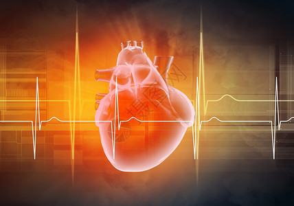 b型血人类心跳有氧运动心血管测试卫生保健脉冲压力流动图表屏幕背景