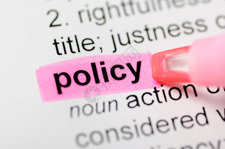 定义的政策单词粉色标记背景