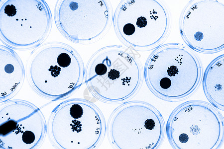 塞斯蒂里生物化学透明的高清图片
