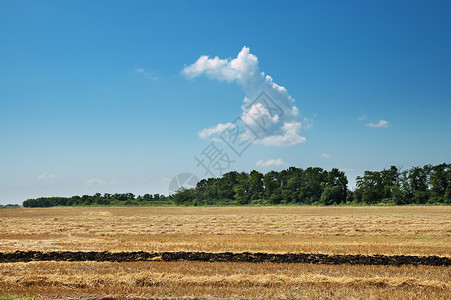 草原的堆垛谷物夏天高清图片