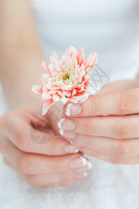 法国牵着花朵的修油手指甲油手指甲指甲护理美容手指身体美甲治疗水疗背景图片
