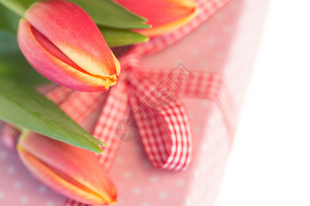 红色圆点礼品粉红色包着的礼物上 有粉红和黄色的郁金香背景