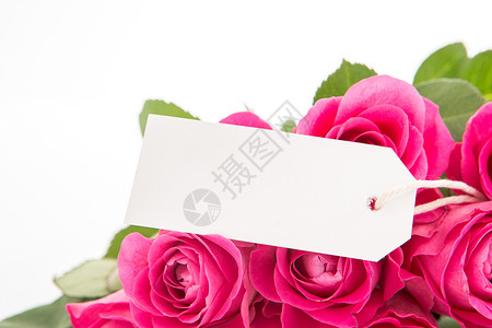 花束卡片缠绕紧贴着一束美丽的粉红色玫瑰花束 白底的白日卡片背景