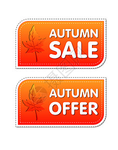 秋季销售和提供带有秋叶的标签高清图片
