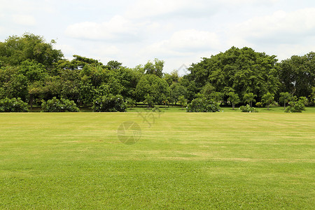 绿绿草地天空季节风景小路城市木头花园叶子园艺土地背景图片