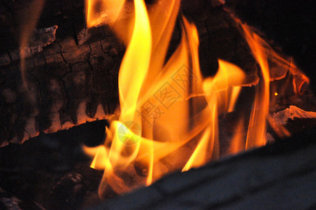 营火篝火木头橙子乐趣黄色火焰背景图片