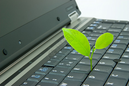 在线学习互联网教育键盘植物网络绿色生长背景图片