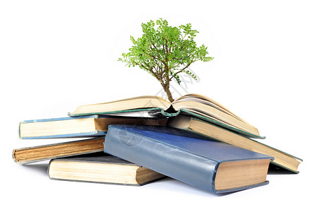 书树图书素材从书上生长的树木作家商业环境园艺科学教育知识生活文学小说背景