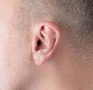 耳朵人体孩子听力照片宏观皮肤感官背景图片