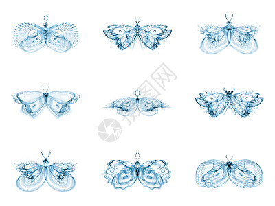 虚拟折形蝴蝶艺术艺术品翅膀昆虫昆虫学野生动物想像力条纹森林插图背景图片