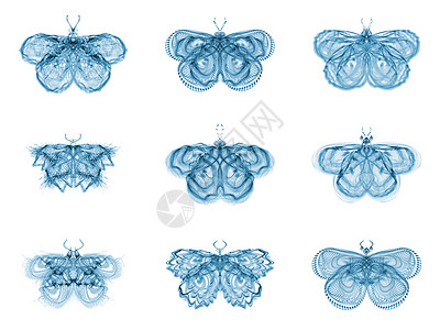 象形分形蝴蝶航班宏观森林艺术元素触角翅膀数学昆虫设计背景图片