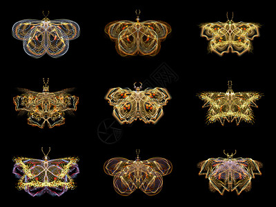 虚拟折形蝴蝶几何学数学生物学创造力收藏奉承触角条纹装饰品渲染背景图片