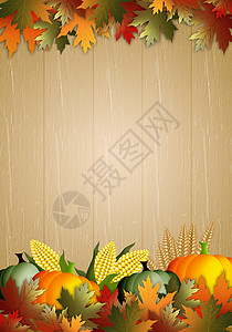 感感恩节快乐日季节叶子传统季节性树叶收成假期火鸡感激南瓜背景图片