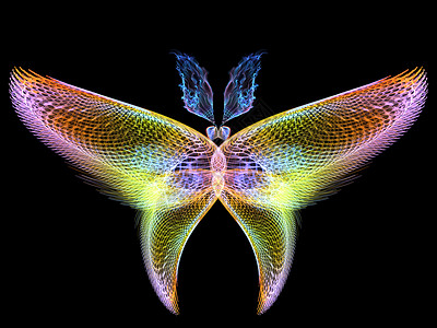 黑色抽象翅膀色彩多彩的蝴蝶奉承生物学创造力翅膀辐射漏洞眼睛触角装饰品航班背景