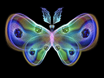 黑色抽象翅膀分形蝴蝶设计渲染创造力元素漏洞森林数学动物昆虫科学背景