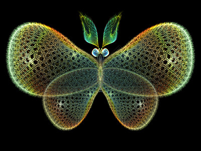 蝴蝶PNG孤立的蝴蝶奉承花园昆虫学野生动物眼睛昆虫想像力生物学宏观设计背景
