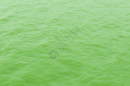 绿色绿水面海景反射波纹液体背景图片