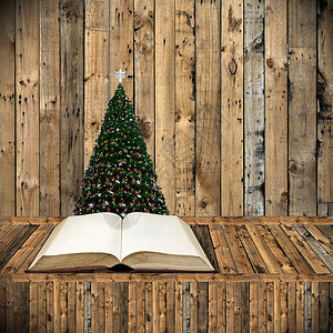 圣诞日读圣经 假日概念背景图片