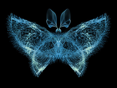 蝴蝶优雅昆虫渲染装饰品触角科学航班漏洞想像力插图眼睛背景图片