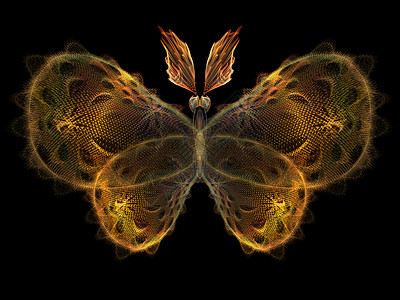 炫彩几何翅膀装饰分形蝴蝶昆虫学几何想像力翅膀森林触角漏洞宏观眼睛科学背景
