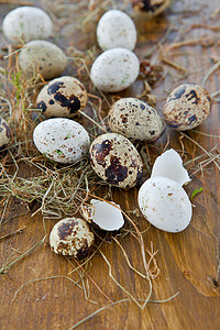 母鸡生蛋声音各种生蛋丝带稻草鹅蛋庆典乡村展示食物礼物烘烤假期背景