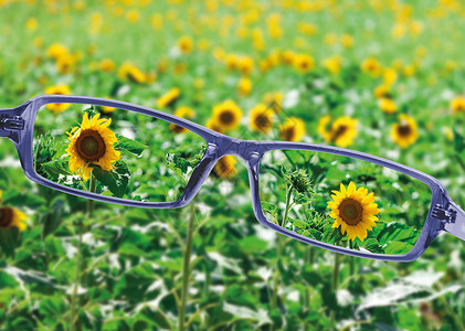 黄色眼镜阅读关于美丽的自然视图的眼镜时查看验光师光学镜片黄色验光概念框架考试绿色观光背景