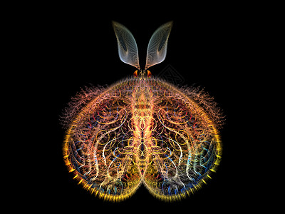 闪耀的蝴蝶数学眼睛动物奉承昆虫学几何学野生动物花园森林生物学背景图片
