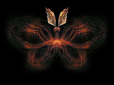 翅膀火焰素材蝴蝶优雅昆虫设计昆虫学森林野生动物宏观想像力眼睛动物装饰品背景