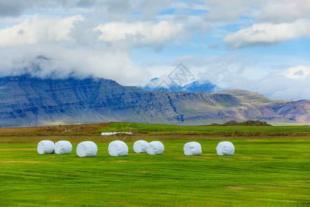 大包冰岛农村景观青贮场地蔬菜风景收成塑料阳光食物饲料包装背景