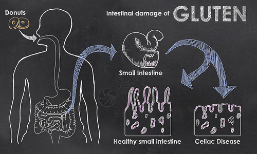 c反应蛋白Gluten的不试验损害背景