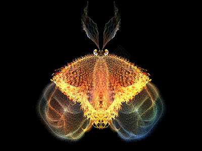 色彩多彩的蝴蝶元素漏洞想像力装饰品昆虫触角数学翅膀野生动物昆虫学背景图片